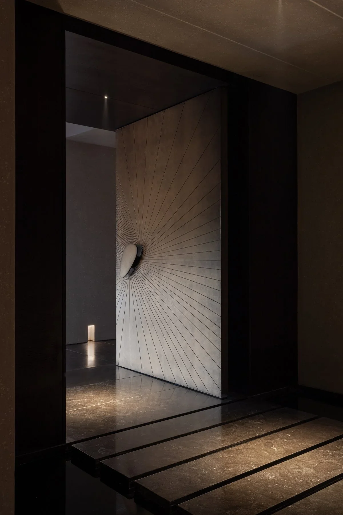 Pivot Doors for Security Exter – Home Security Front Door recenzja i cena